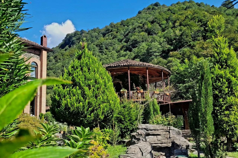 Adjara: Vineyard Tour with Wine Tasting and Lunch