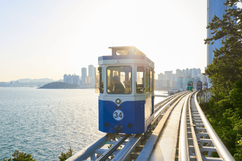 Busan : pour les passagers de croisière, visite en voiture privéeBusan : Visite en voiture privée pour les passagers de croisière