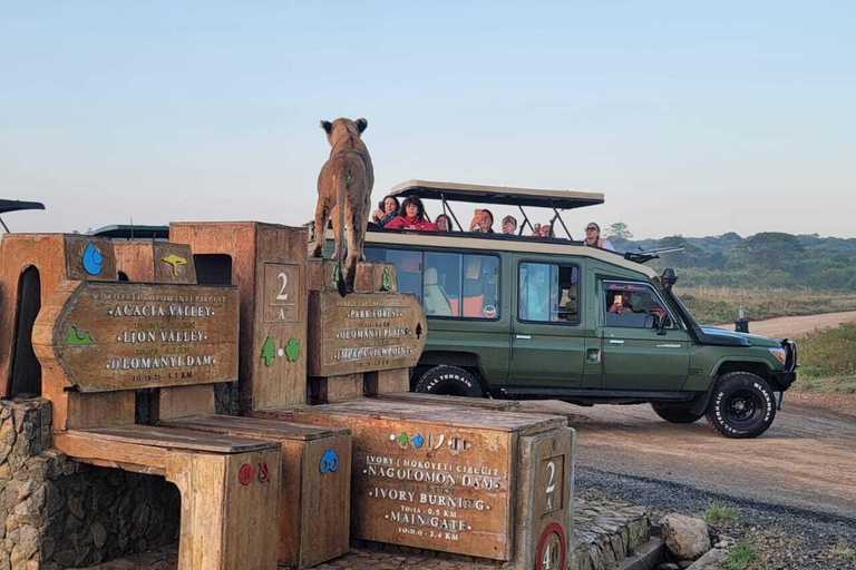 Nairobi: Nairobi National Park Safari with Guide