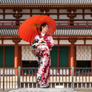 Osaka to Nara: Todai-ji & Deer Park Guided Family Tour