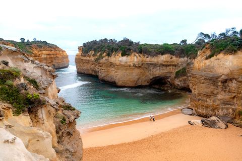 Da Melbourne: Escursione di un&#039;intera giornata sulla Great Ocean RoadGreat Ocean Road: escursione di un giorno da Melbourne