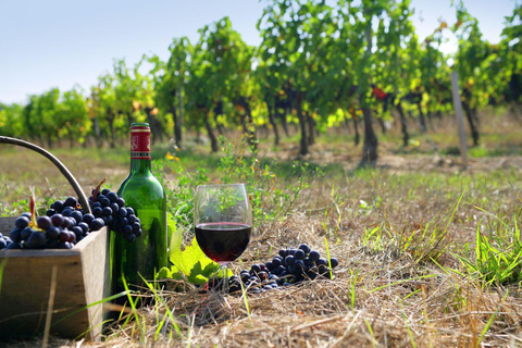 Crete: Wine & Olive Oil Tasting & Historic Villages Tour