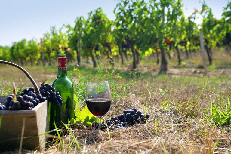 Crete: Wine & Olive Oil Tasting & Historic Villages Tour