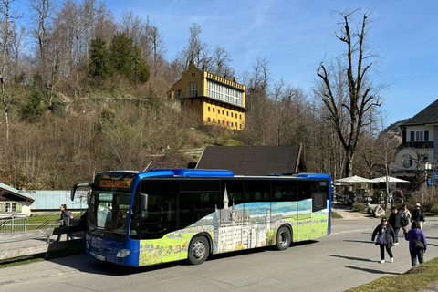Neuschwanstein Castle Skip-the-Line Ticket with Audio Guide