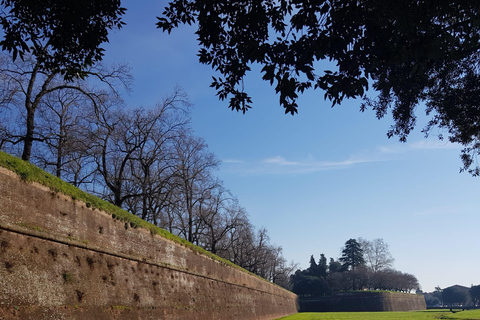 BASIC Lucca: visita guidata in ITALIANO