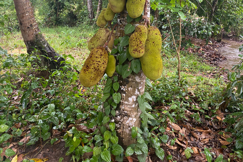 Sansibar : Gewürzfarm &amp; Rundgang in Stone Town