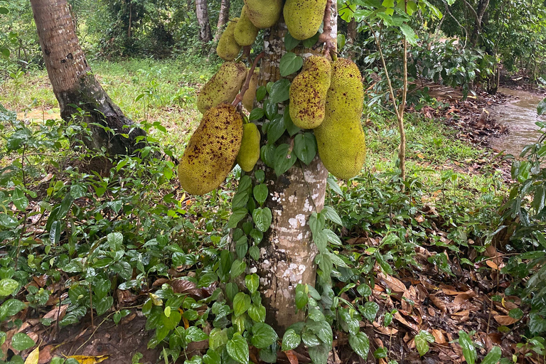Sansibar : Gewürzfarm &amp; Rundgang in Stone Town