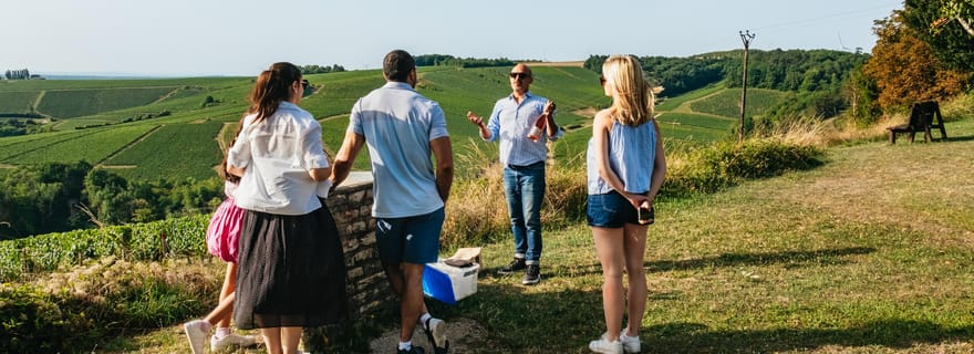 Excursion d'une journée à Chablis au départ de Paris, comprenant 8 dégustations et le déjeuner