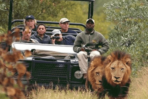 Joanesburgo: Safari de 2 dias no Kruger Big 5 Luxury Lodge Fly-InJoanesburgo: safári de 2 dias no Kruger Big 5 Luxury Lodge Fly-In