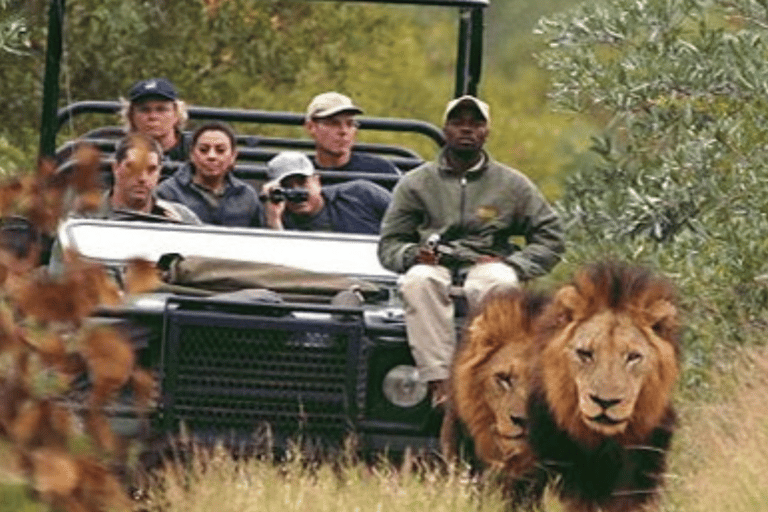 Joanesburgo: Safari de 2 dias no Kruger Big 5 Luxury Lodge Fly-InJoanesburgo: safári de 2 dias no Kruger Big 5 Luxury Lodge Fly-In