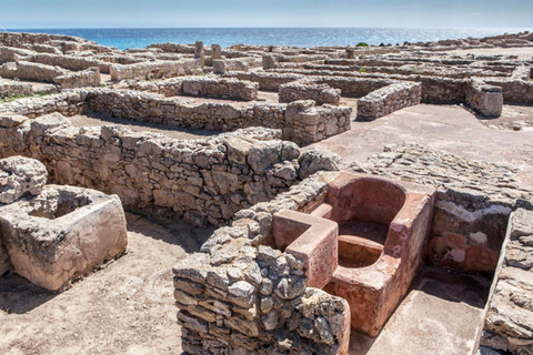 Hammamet: The Golden Triangle of Cap Bon: Klebiya, Kerkouene, and Korbous Hammamet: The golden triangle of Cap Voucher: Klebiya, Kerkouene, and Korbous