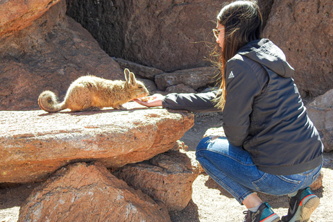 La Paz: 4-Day Uyuni Salt Flats to San Pedro de Atacama ENGLISH-SPEAKING GUIDE