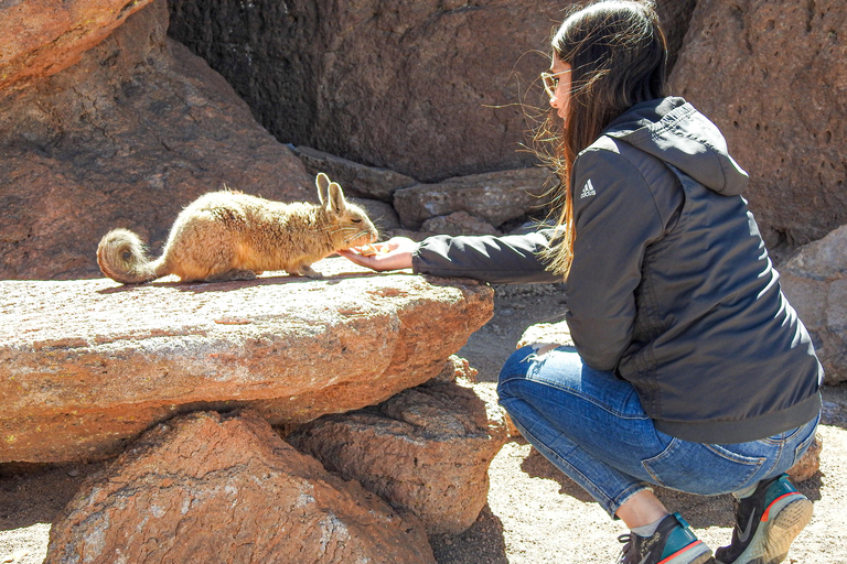 La Paz: 4-Day Uyuni Salt Flats to San Pedro de Atacama ENGLISH-SPEAKING GUIDE