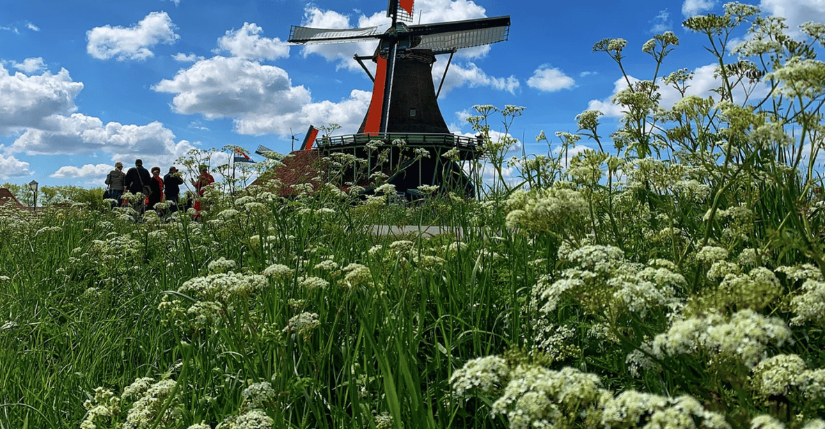 Afbeelding 18 van Amsterdam: E-biketour langs windmolens, kaas en het platteland