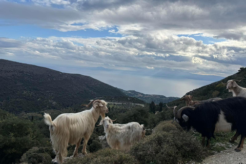 Kefalonia Ainos Premium 4x4 Van Experience Pick-up from Argostoli, Lassi, Svoronata, Lourdata Areas