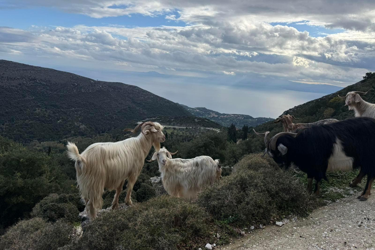 Kefalonia Ainos Premium 4x4 Van Experience Pick-up from Argostoli, Lassi, Svoronata, Lourdata Areas