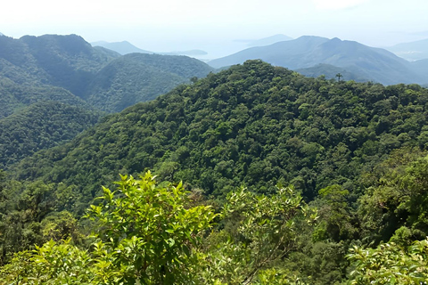 São Paulo & Atlantic Forest: Serra do Mar State Park Tour