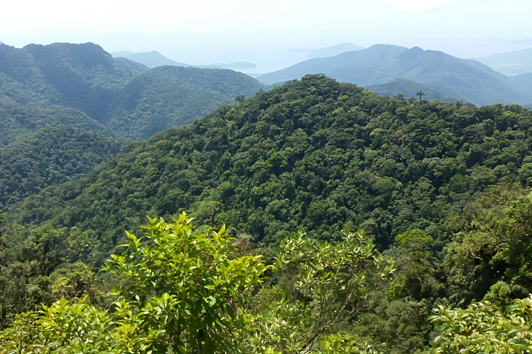 São Paulo & Atlantic Forest: Serra do Mar State Park Tour