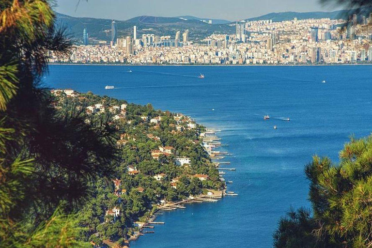 Från Istanbul: Tur till Prinsöarna med lunch