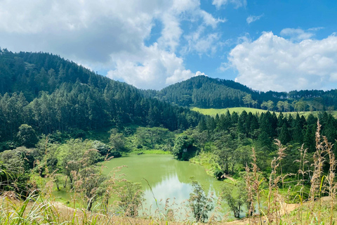 Kandy: Private Tuk Tuk Tour with Tea Tasting & Village Visit