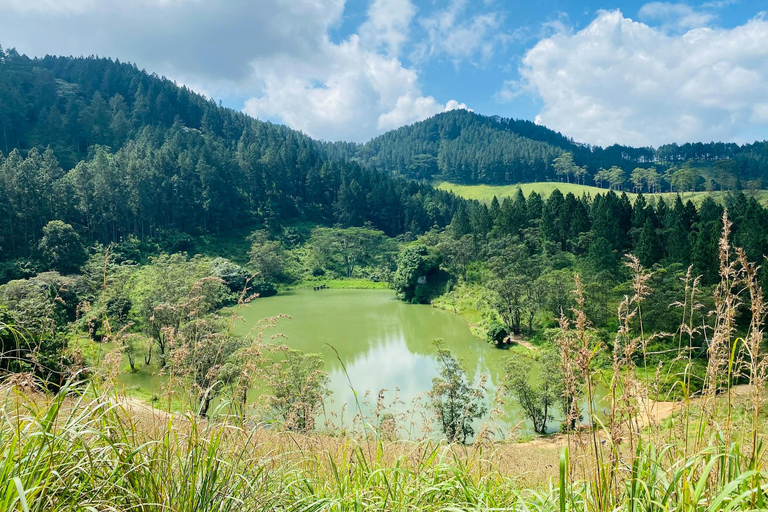 Kandy: Private Tuk Tuk Tour with Tea Tasting & Village Visit