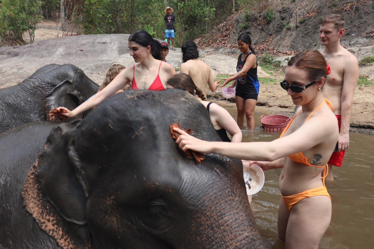 Chiang Mai 2-Day: Good Morning Elephant & Overnight Homestay