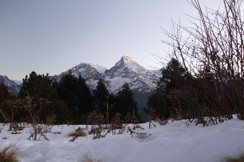 A Journey through Nepal: 12 Days of Trekking and Exploration