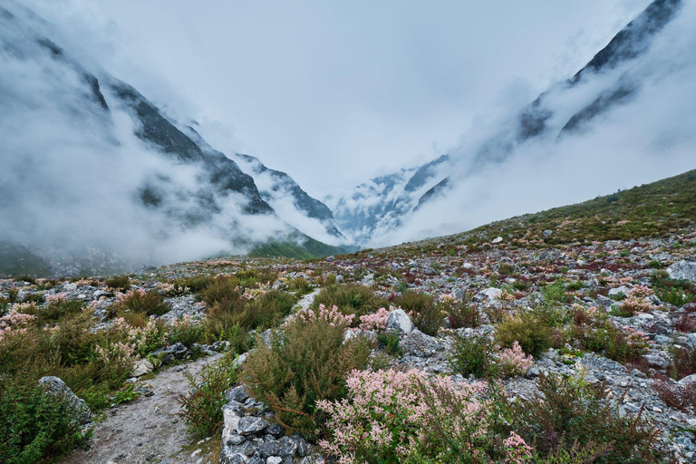 Langtang Vallei TrekPrivé trektocht zonder maaltijden maar beschikbaar voor aankoop