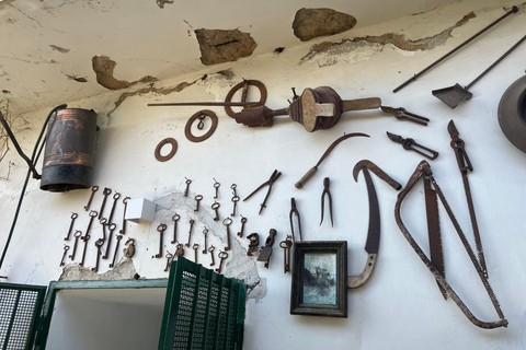 Z Positano: Wycieczka cytrynowa z degustacją i transferem