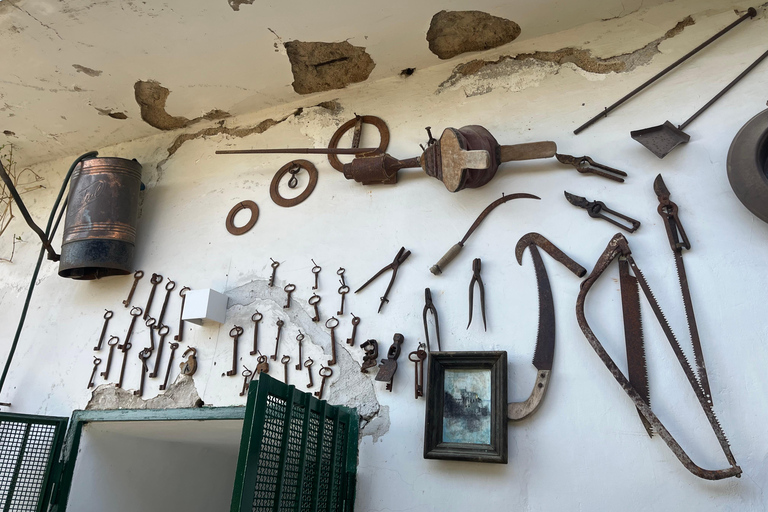 Z Positano: Wycieczka cytrynowa z degustacją i transferem