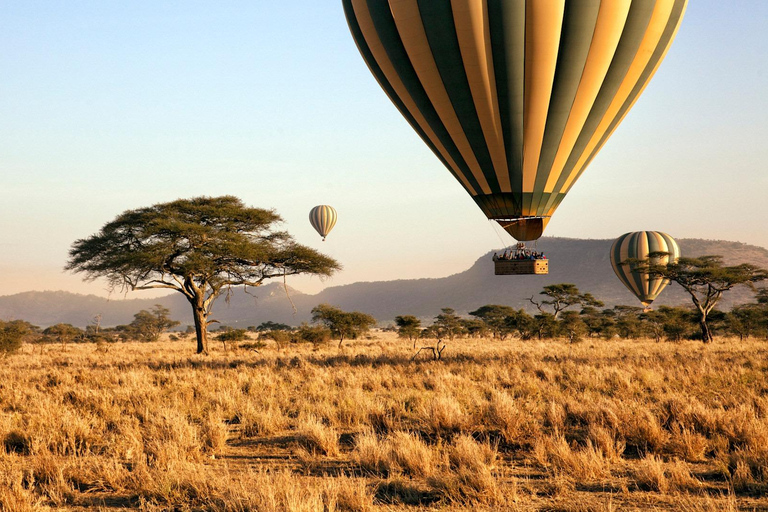 Tanzania Safari: Best 3-Days Wildlife Safari Tours