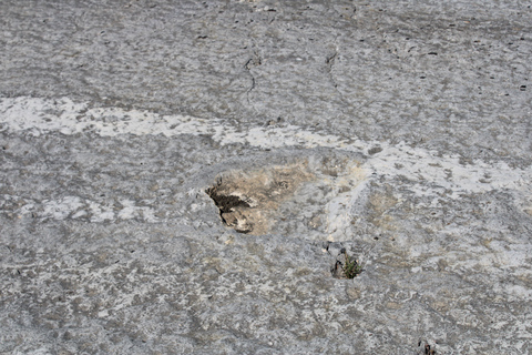 Lissabon: Dinosaurier-Fußabdrücke, Höhlen und Óbidos-TourTour für kleine Gruppen: Dinosaurierfußabdrücke, Höhlen und Óbidos