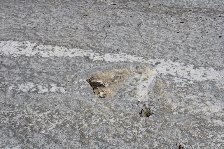 Lissabon: Dinosaurier-Fußabdrücke, Höhlen und Óbidos-TourTour für kleine Gruppen: Dinosaurierfußabdrücke, Höhlen und Óbidos