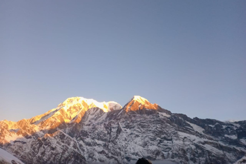 4 Day Mardi Himal Trek with 2 Day Chitwan Jungle Safari Tour