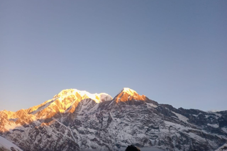4 Day Mardi Himal Trek with 2 Day Chitwan Jungle Safari Tour