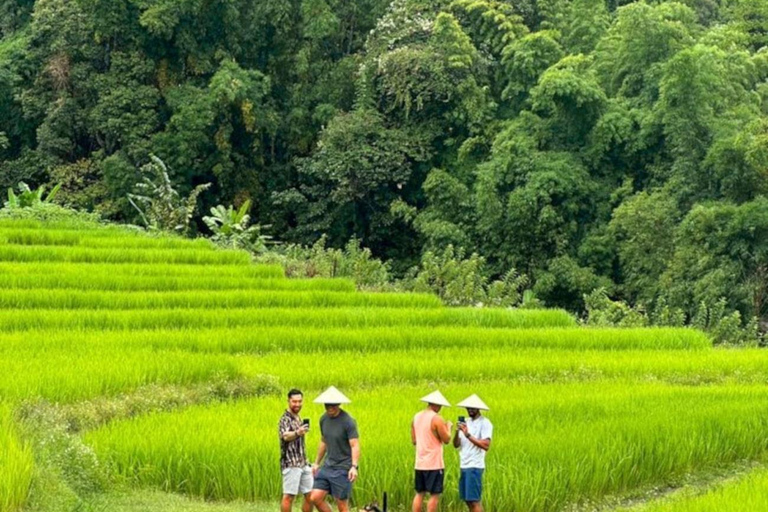 Chiang Mai: Doi Inthanon National Park & Elefantenschutzgebiet