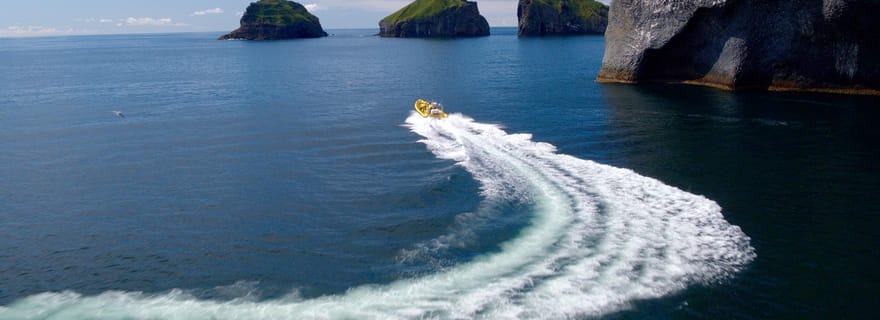 Vestmannaeyjar : Excursion d'une heure dans les petites îles