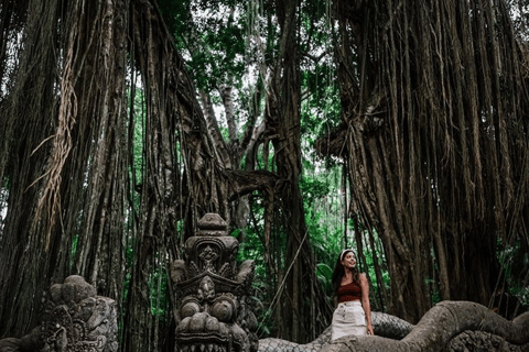 Ubud:Art Village, MonkeyForest, RiceField, & Bali Swing Tour