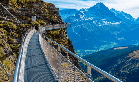 Depuis Zurich : Grindelwald First Top of Adventure Private Trip