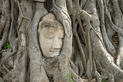 Ayutthaya: Jednodniowa wycieczka do świątyń i kawiarni wpisanych na listę dziedzictwa UNESCOPrywatna wycieczka półdniowa