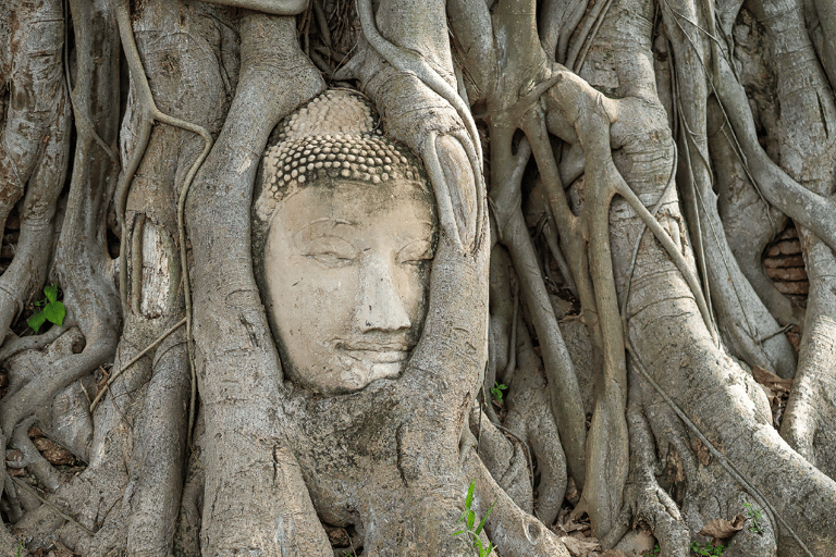 Ayutthaya: Tour di un giorno dei templi e dei caffè patrimonio dell&#039;UNESCOPartecipa al tour di mezza giornata