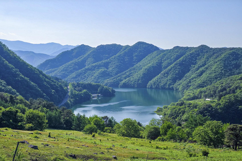 Chuncheon: Korean Rural Culture & Farm Tour