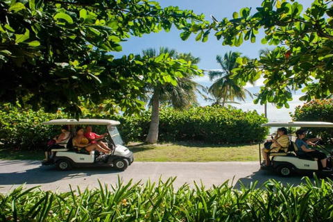 Punta Cana: Iguana Sanctuary, Sailing & BBQ Tour