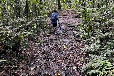 Laguna del Hule Guided tour Laguna del Hule Travel and Walk