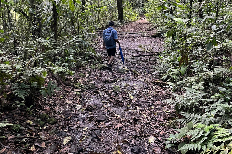 Laguna del Hule Guided tour Laguna del Hule Travel and Walk