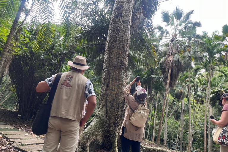 Cartagena: Adventure in Turbaco and botanical garden Cartagena: Turbaco Adventure and Botanical Garden