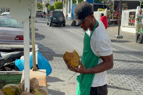 Puerto Plata: Cultural Immersion and Artisanal Cocoa Route