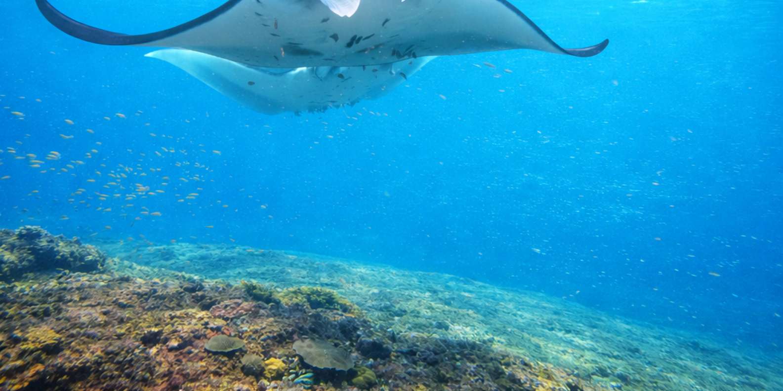 From Bali: 2-Day Nusa Penida with Manta Snorkel & Land Tour
