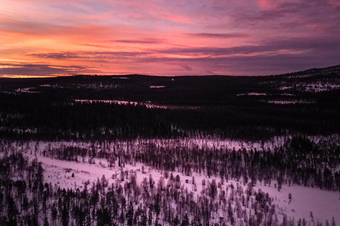 Rovaniemi: giro in slitta trainata da motoslitte con caffè sul fuocoRovaniemi: giro in slitta trainata da motoslitte con caffè davanti al fuoco