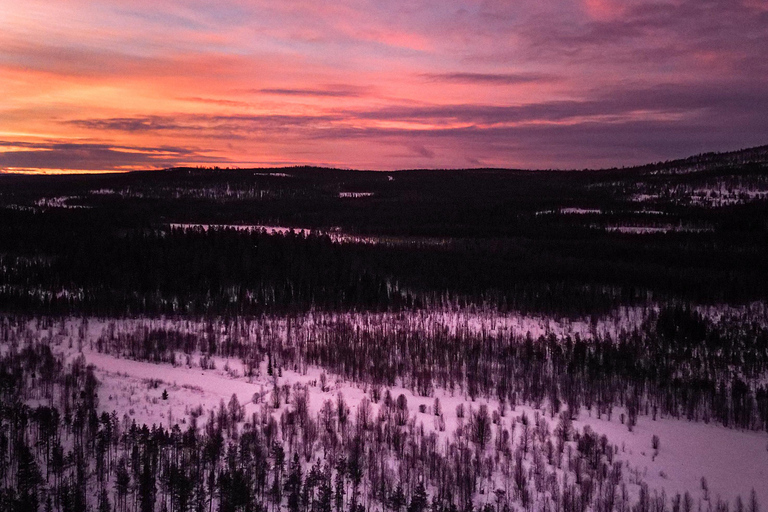 Rovaniemi: giro in slitta trainata da motoslitte con caffè sul fuocoRovaniemi: giro in slitta trainata da motoslitte con caffè davanti al fuoco
